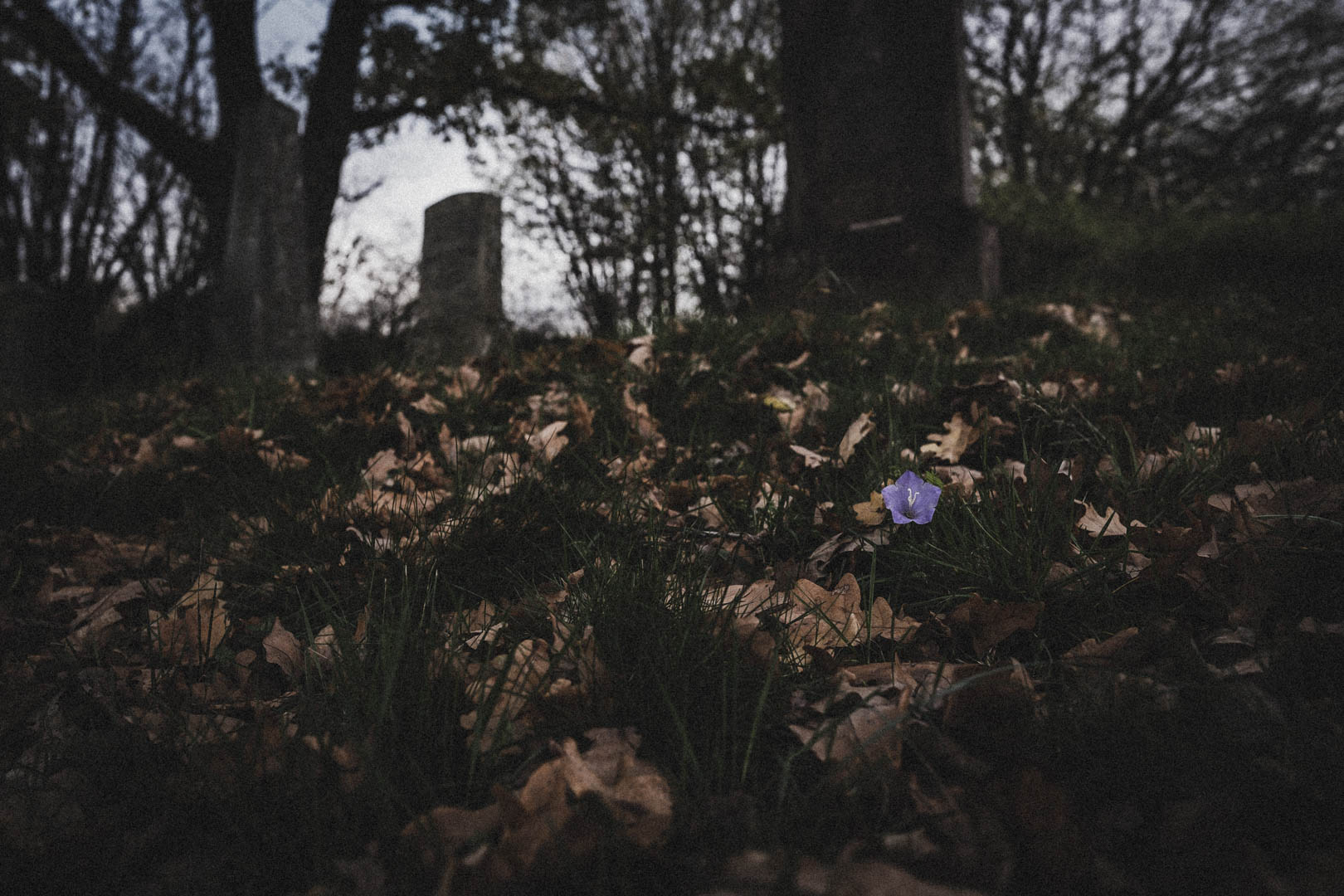 Groß-Felda, Jüdischer Friedhof